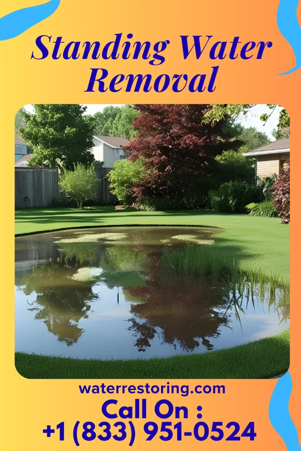 Standing Water Removal in Kinloch, MO